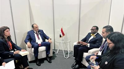 وزير قطاع الأعمال العام يلتقي رئيس مجموعة البنك الأفريقي للتنمية على هامش قمة لوندا