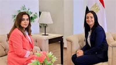 التضامن والتنمية المحلية: تشكيل لجنة عليا وأخرى تنفيذية لمبادرة سكن كريم من أجل حياة كريمة