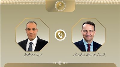 وزير الخارجية يبحث مع نظيره البولندي تطورات الأوضاع في الشرق الأوسط