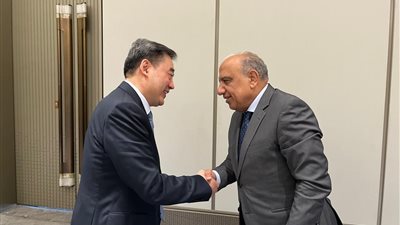 وزير الكهرباء يبحث توطين صناعة الخلايا الشمسية مع رئيس هيئة الطاقة الصينية