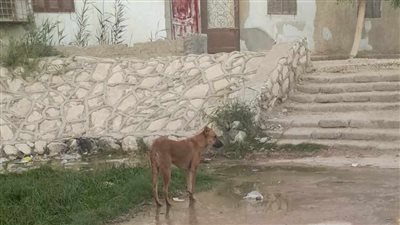 كارثة بيئية تهدد سكان 