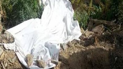 دفن الجثة في أرض زراعية.. تفاصيل مقتل أم على يد نجلها بالمنيا 