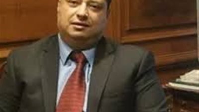 نائب رئيس حزب الغد: ثورة 30 يونيو أنقذت الدولة من خطر الانهيار والتفكك