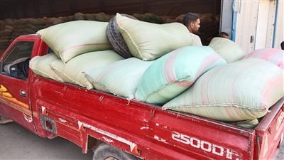 استمرار أعمال توريد القمح بتوريد 511 ألف طن بالمنيا 