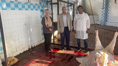 رقابة بيطرية مشددة لضمان سلامة اللحوم بدمياط
