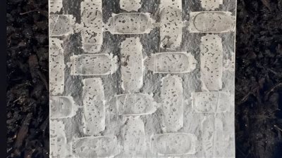 علماء يتوصلون لمادة طبيعية لصنع الروبوت