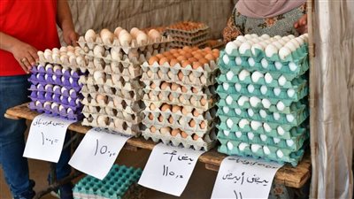 محافظ الدقهلية: استمرار سوق اليوم الواحد بشارع قناة السويس لمدة أسبوع