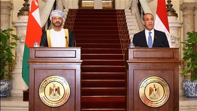 ترأسا أعمال اللجنة المشتركة بالقاهرة.. تفاصيل لقاء وزير الخارجية بنظيره العماني 