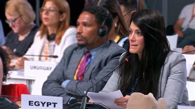 المشاط: الدول النامية تتحمل العبء الأكبر من أزمة الديون العالمية