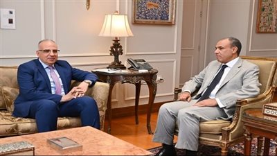 وزير الري: دعوات إثيوبيا المتكررة لاستئناف مفاوضات سد النهضة مجرد محاولات شكلية 