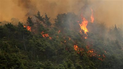 تقترب من المناطق السكنية.. حرائق هائلة تلتهم غابات اللاذقية شمال سوريا 