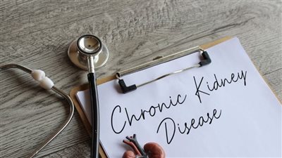 مشاكل الكلى الأكثر شيوعًا لدى كبار السن