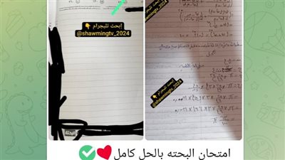 «شاومينج» ينشر صورًا مزعومة من امتحان الرياضيات.. و«التعليم» تحقق