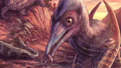 اكتشاف أحفورة تعود لـ 200 مليون سنة لأقدم الزواحف المجنحة بالعالم