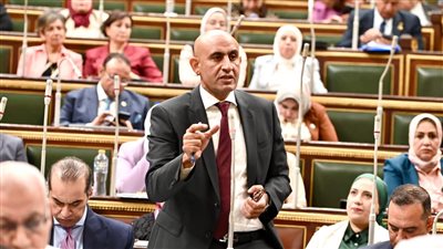 «وزير التعليم» يعقب على بعض الاستفسارات حول نظام البكالوريا خلال الجلسة العامة لمجلس النواب
