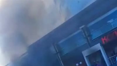 اندلاع حريق بمحيط فندق شهير بطريق البحر في الإسكندرية 