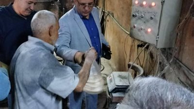 تحرير 103 محضرا وضبط 30 كيلو لحوم في حملات تموينية بالدقهلية 