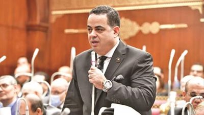 النائب عصام هلال: مجلس الشيوخ ساهم في تجهيز التشريعات وتحسين جودتها قبل إحالتها لـ«النواب»