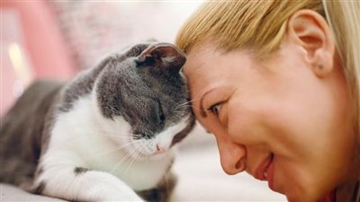 هل يمكن التواصل بين البشر والحيوانات؟.. الذكاء الاصطناعي هو السر