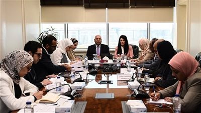 مصر تستعد لتدشين أول منصة وطنية لحشد التمويلات والمنح الدولية 