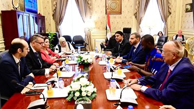 القومي لحقوق الإنسان يعقد اجتماعًا مع وفد المفوضية السامية لحقوق الإنسان التابعة للأمم المتحدة