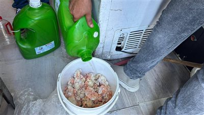 التفاصيل الكاملة لغلق وتشميع 6 مطاعم بشارع النيل برأس البر