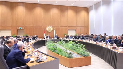 رئيس جامعة دمياط يشارك في اجتماع مجلس الجامعات الأهلية