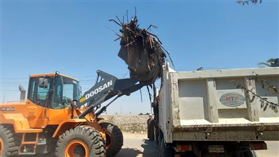 بالصور.. «مدينة الطود» تشن حملة لنظافة وتجميل الشوارع جنوب الأقصر