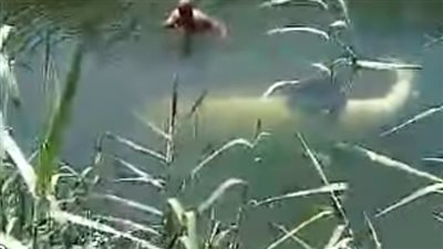 تفاصيل إصابة شخص فى حادث أليم بفارسكور