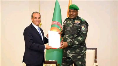 وزير الخارجية يسلم رسالة خطية من الرئيس السيسي إلى نظيره في النيجر