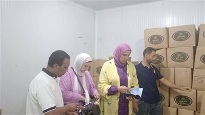 محافظ الدقهلية: ضبط 4 أطنان لحوم ومصنعاتها غير مطابقة للمواصفات بطلخا 