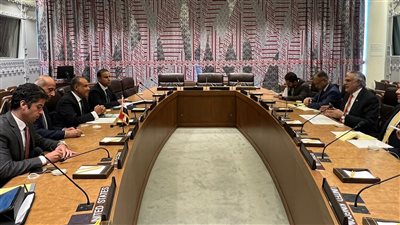 وزير الخارجية لنظيره الباكستاني: نأمل في نفاذ المساعدات الإنسانية لـ غزة بصورة آمنة ومستدامة