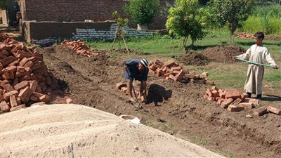 إزالة حالة تعد على أراضي أملاك الدولة بمركز الطود جنوب الأقصر