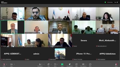 الحجر الزراعي يعلن انطلاق أول شحنة تقاوي بطاطس ميني تيوبر إلى أوزبكستان