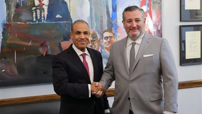 تفاصيل لقاء وزير الخارجية عضو لجنة العلاقات الخارجية بمجلس الشيوخ الأمريكي