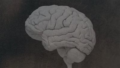 الاعتلال الدماغي المزمن.. المرض الذي لا يمكن تشخيصه إلا بعد الوفاة