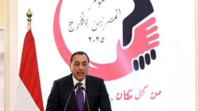 رئيس الوزراء: رعاية المصريين بالخارج أولوية للدولة