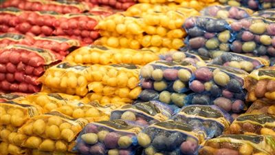 هل تعلم أن البطاطس والطماطم من عائلة واحدة؟