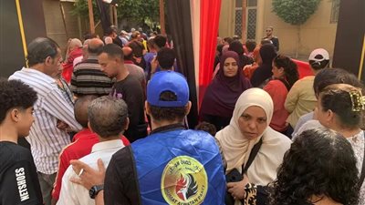  المنظمة المصرية: ترصد إيجابيات وتحديات في الساعات الأولى من انتخابات مجلس الشيوخ 2025