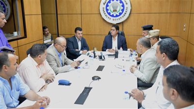 نائب محافظ الدقهلية يشهد محاكاة لمتابعة الاستعدادات والجاهزية لانتخابات مجلس الشيوخ