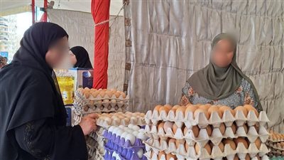 استمرار انطلاق أسواق اليوم الواحد الجمعة والسبت كل أسبوع بالمنصورة