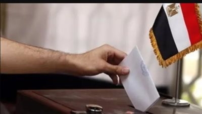 المنظمة العربية: تختتم متابعتها لليوم الثاني من انتخابات مجلس الشيوخ المصري