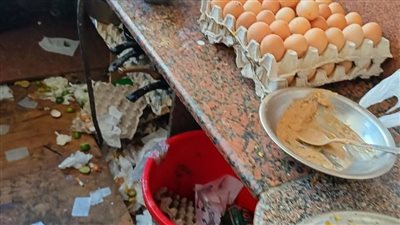 ضبط وإعدام 350 كجم أغذية غير صالحة للاستهلاك الآدمي برأس البر