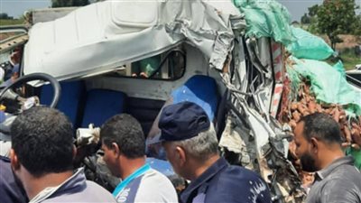 وفاة سائق في حادث على طريق أجا – المنصورة 