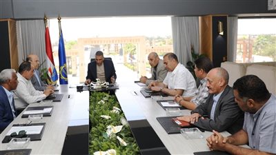 محافظ أسوان يقرر تشكيل لجنة فنية لحل مشكلة انقطاع الكهرباء في محطات المياه والري