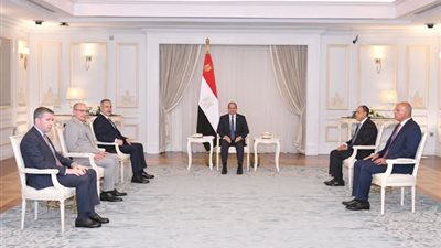 الرئيس السيسى يستقبل وزير خارجية جمهورية تركيا