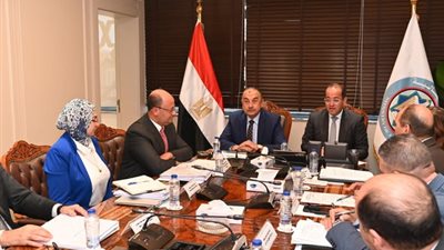 وزيرا قطاع الأعمال العام والمالية يبحثان تعزيز التعاون في عدد من الملفات المشتركة