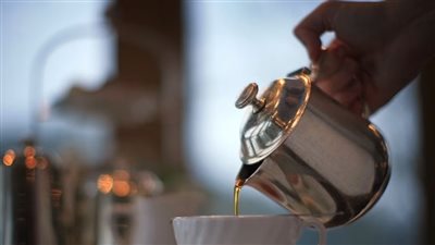 ما هي عشبة النعمة الهندية؟ وما فوائدها الصحية؟