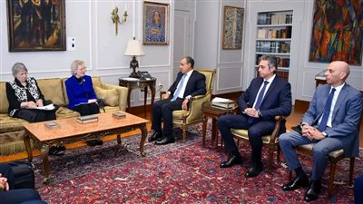 وزير الخارجية يبحث مع مجموعة الحكماء الداعمة للسلام الأوضاع الكارثية في غزة