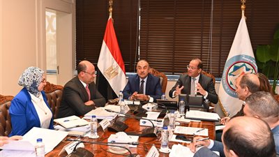 كجوك وشيمي: تعظيم عوائد أصول الدولة وتعزيز تنافسية الشركات العامة